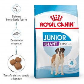 Royal Canin Giant Junior pienso para perros junior de razas tamaño...