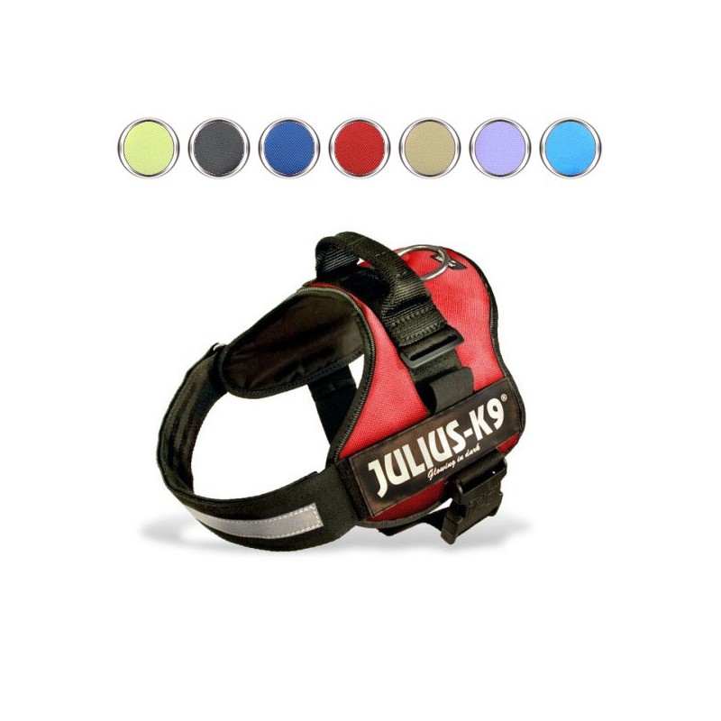 Arnés Julius-K9, Talla 1 (L)