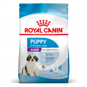 Royal Canin Giant Puppy pienso para cachorros de razas tamaño gigante