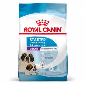 Royal Canin Giant Starter pienso para cachorros y madres lactantes...
