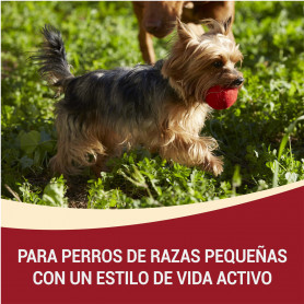 PURINA ONE MINI Perro Active Pollo y Arroz