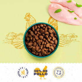 Boske Adult Grain Free Pollo Pienso Natural Para Perro