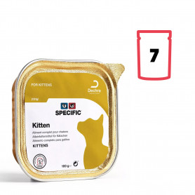 Specific Kitten FPW