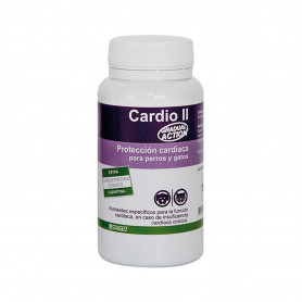 Cardio II
