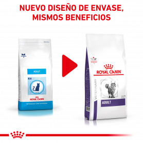 Royal Canin Adult Alimento Seco para Gatos