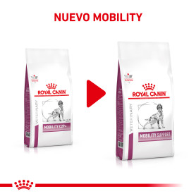 Royal Canin Mobility Support Alimento Seco para Perros