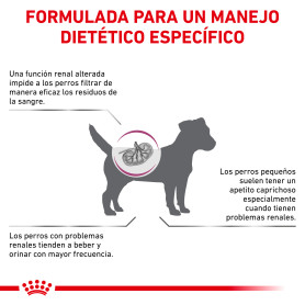 Royal Canin Renal Small Dog Alimento Seco para Perros de Razas...