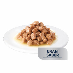 Advance Veterinary Diets Gastroenteric para Gatos