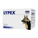 Lypex