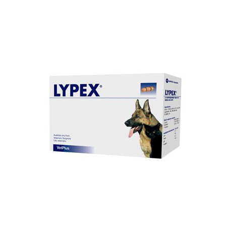 Lypex
