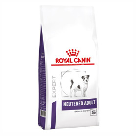 Royal Canin Neutered Adult Small Dog Alimento Seco para Perros...
