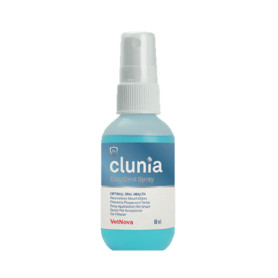 CLUNIA Easy Dent Spray 