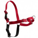 Arnes Easy Walk