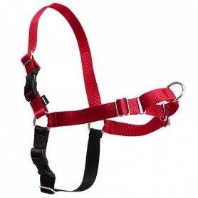 Arnes Easy Walk