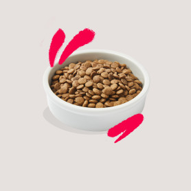 Edgard & Cooper, pienso sin cereales con pollo y pavo frescos para...