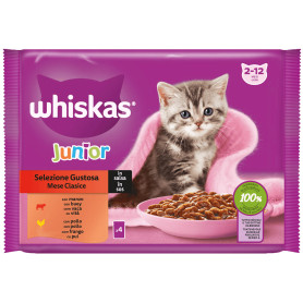 Comida húmeda gatos...