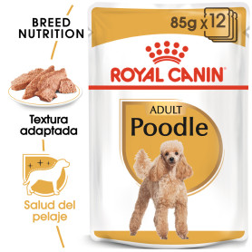 Royal Canin Poodle Adult Dog Alimento húmedo