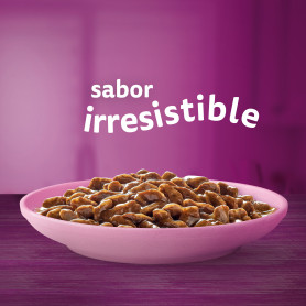 Whiskas para Gatos Junior Selección de Carnes 