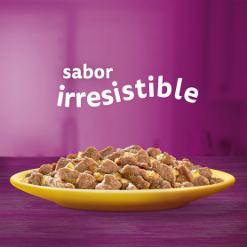Whiskas Pack selección de aves