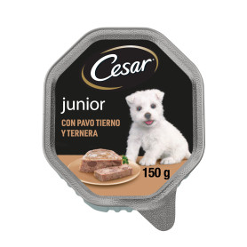 Cesar Comida Húmeda para Perros Cachorros Sabor Pavo y Ternera...