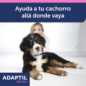 ADAPTIL Junior Collar