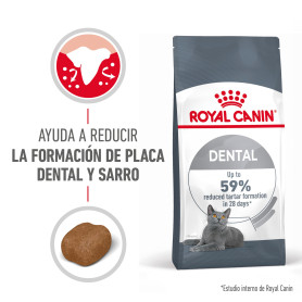 Royal Canin Dental Care pienso gato adulto con sensibilidad dental