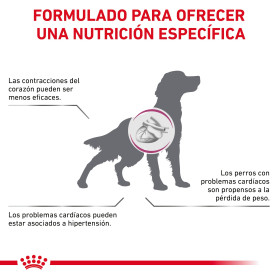 Royal Canin Cardiac Latas Alimento Húmedo para Perros en Paté