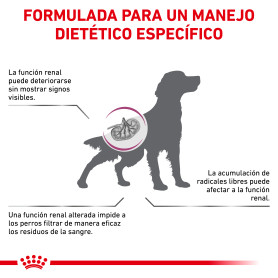 Royal Canin Early Renal Alimento Seco para Perros