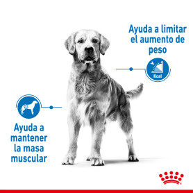 Royal Canin Medium Light Weight Care pienso para el control de peso...