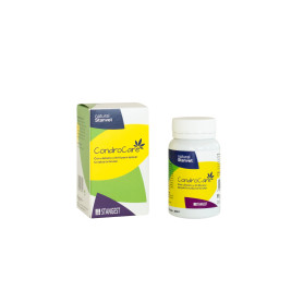 Condrocare