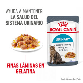  Royal Canin Urinary Care comida húmeda en gelatina para el cuidado...