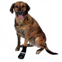 Botas Walker Care Confort, Ropa para perros