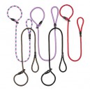 Correa-collar educativo 1,4 cm O