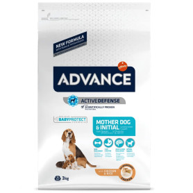 Advance Mother dog & Initial