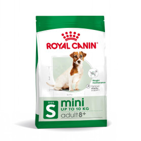 Royal Canin Mini Adult 8+ pienso para perro sénior de razas tamaño...