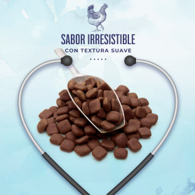 Boske Clinical Diet Gastrointestinal Pienso para Perros