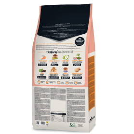 Ownat classic monoproteico salmon