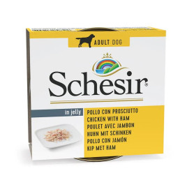 Schesir Perro