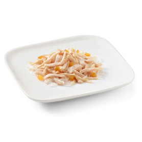 Schesir adult  filetes pollo con papaya lata para perros
