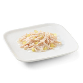 Schesir adult filetes pollo con piña lata para perros