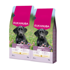 Eukanuba puppy