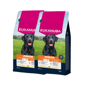 Eukanuba junior