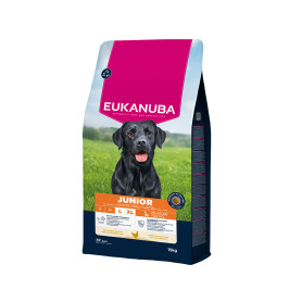 Eukanuba Junior, rico en pollo fresco. Exclusivo Alimento seco para...