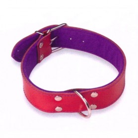 Collar Cuero Superfelt Color