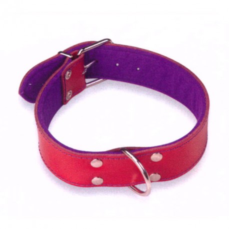 Collar Cuero Superfelt Color