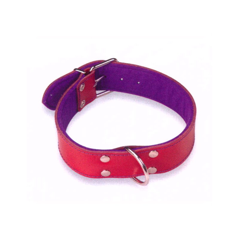 Collar Cuero Superfelt Color