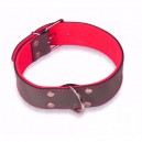 Collar Cuero Superfelt Color