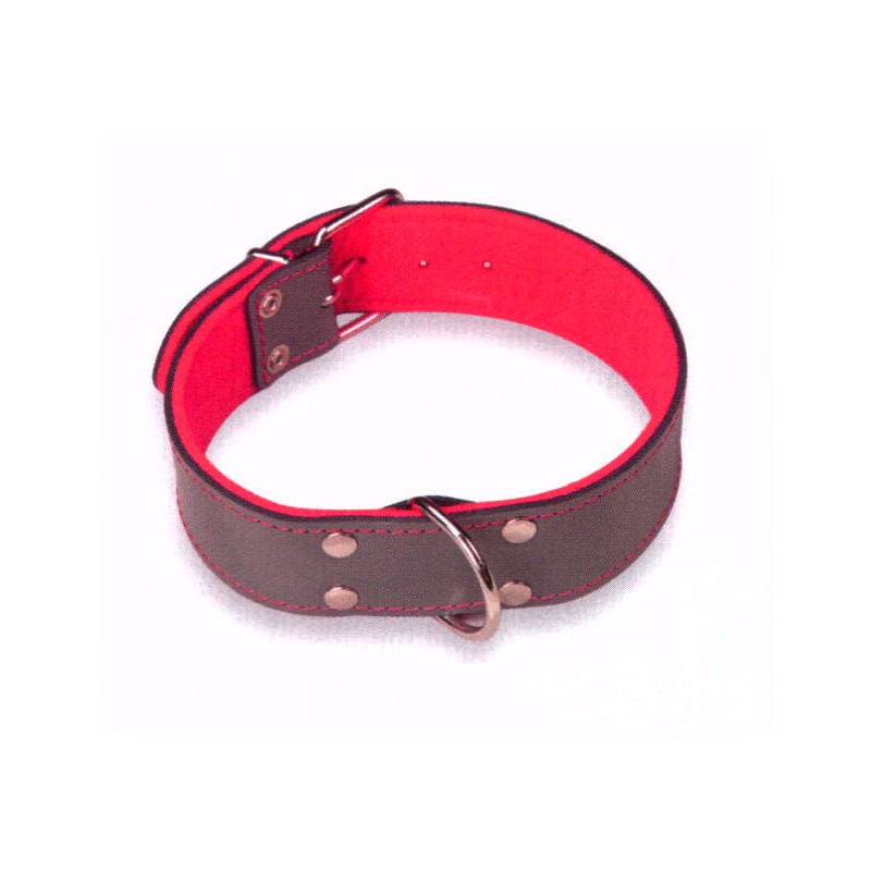 Collar Cuero Superfelt Color