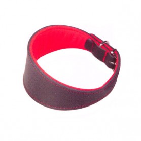 Collares galgos