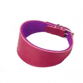 Collar Galgo Cuero Superfelt